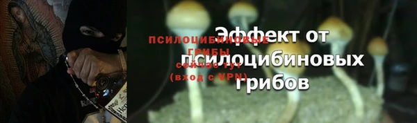 spice Абдулино