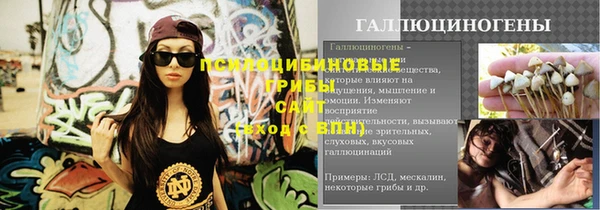 МДПВ Абинск