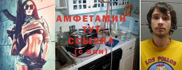 прущие грибы Приозерск